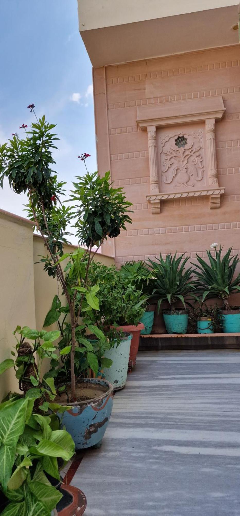 Harsidhi Haveli Lejlighed Bikaner Eksteriør billede
